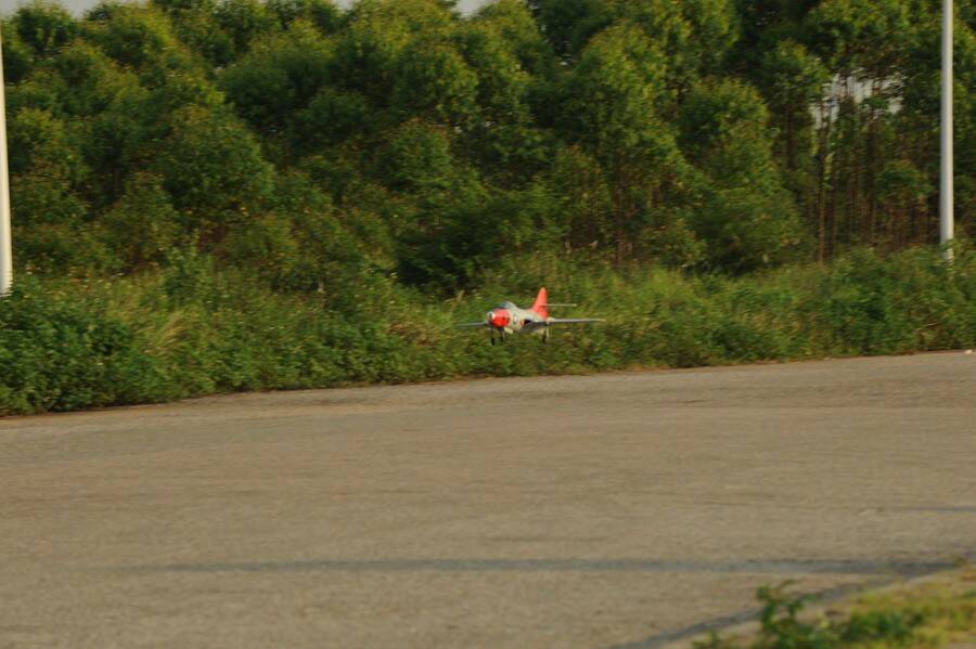 DSC_6179.jpg