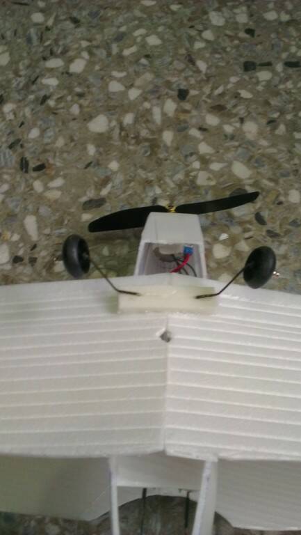 IMAG0081.jpg
