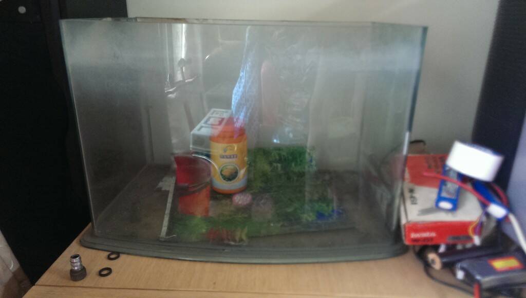 IMAG0026.jpg