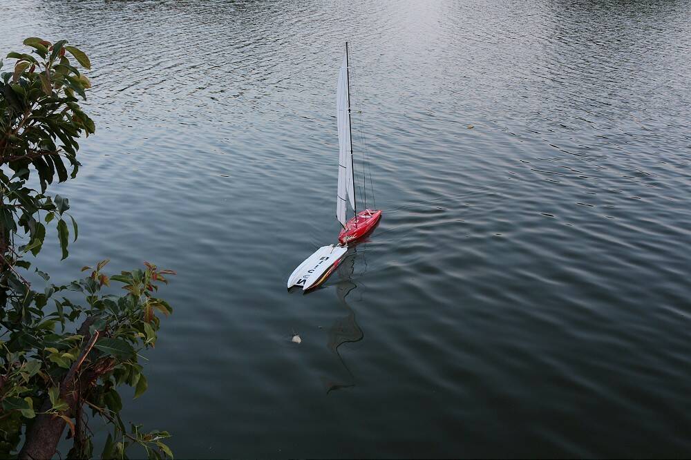 IMG_0292-1000.jpg