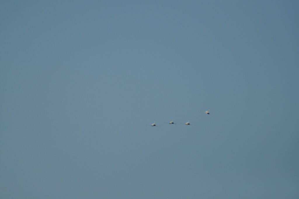 2012 1155_調整大小.jpg