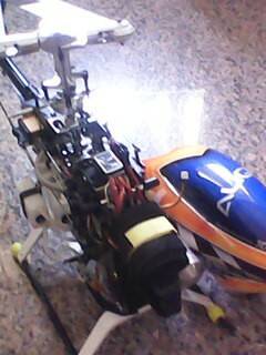 IMG00317.jpg