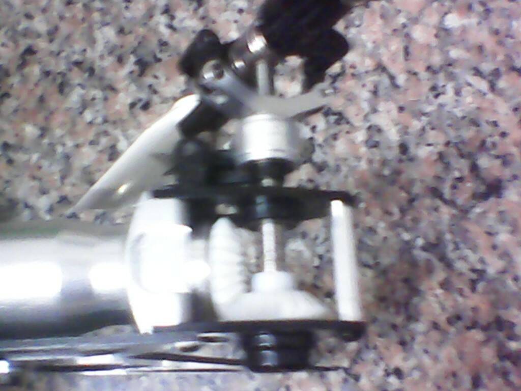 IMG00333.jpg