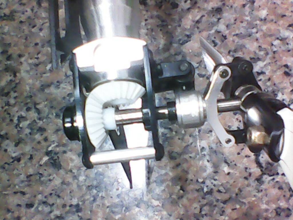 IMG00334.jpg