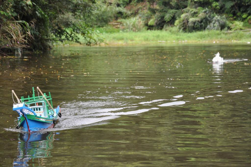 DSC_1186.JPG