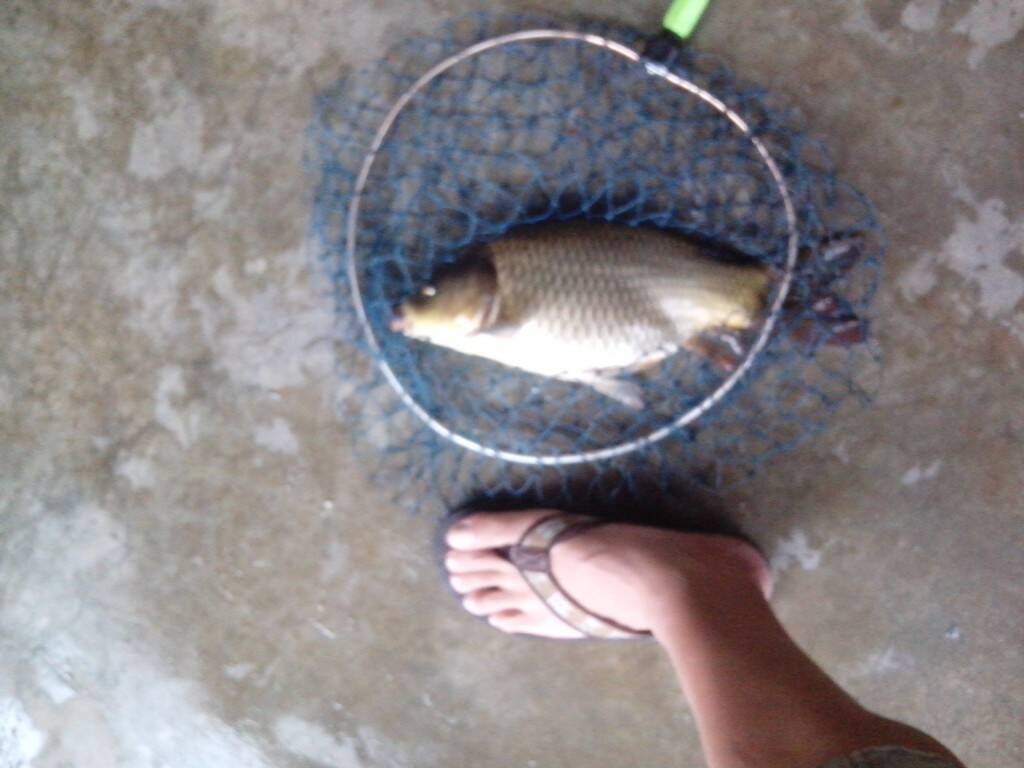 IMG_20130612_170204.jpg