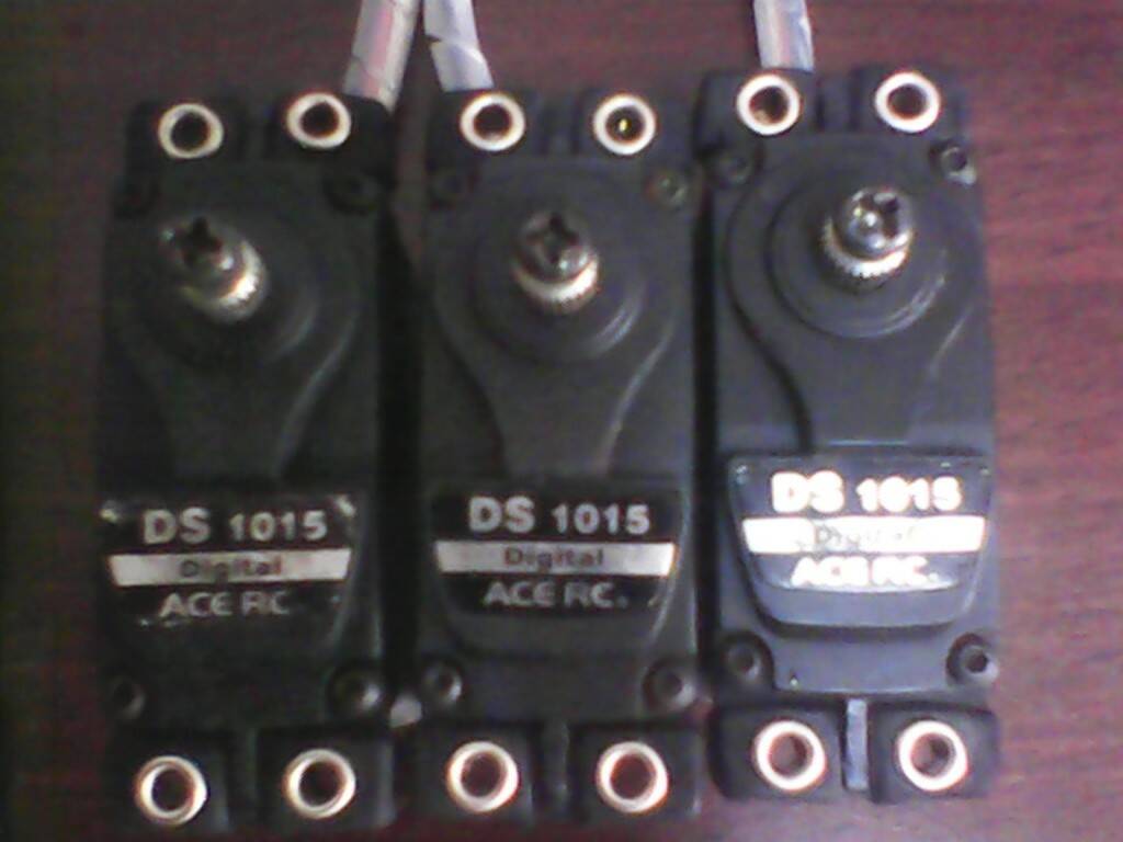 IMG00347.jpg