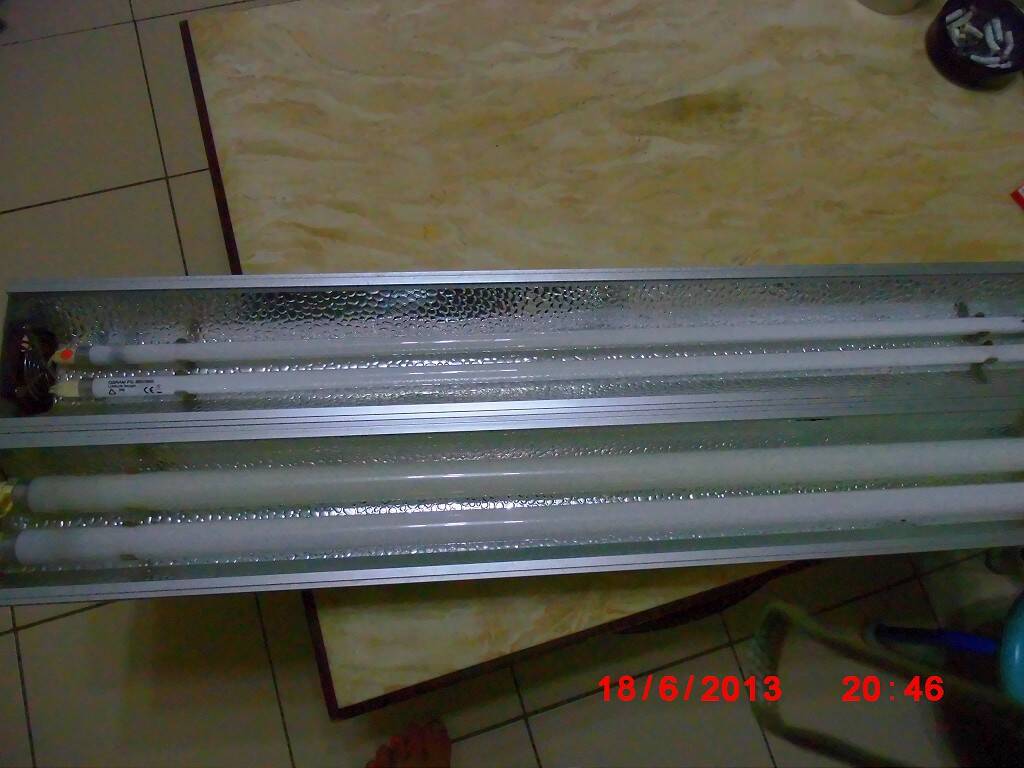 DSCI0355-1024.jpg