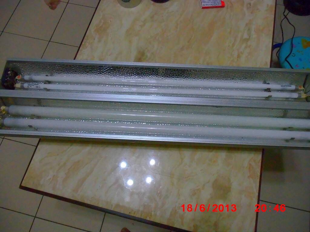 DSCI0356-1024.jpg