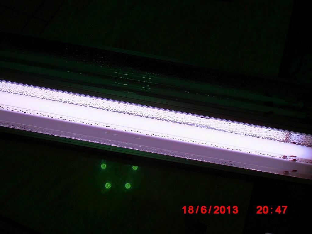 DSCI0358-1024.jpg