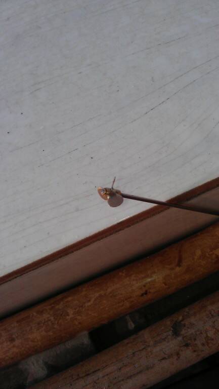 IMAG0466.jpg