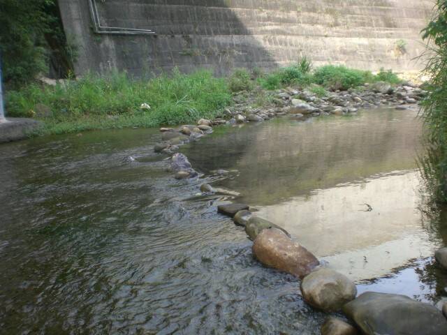 CIMG0274.JPG