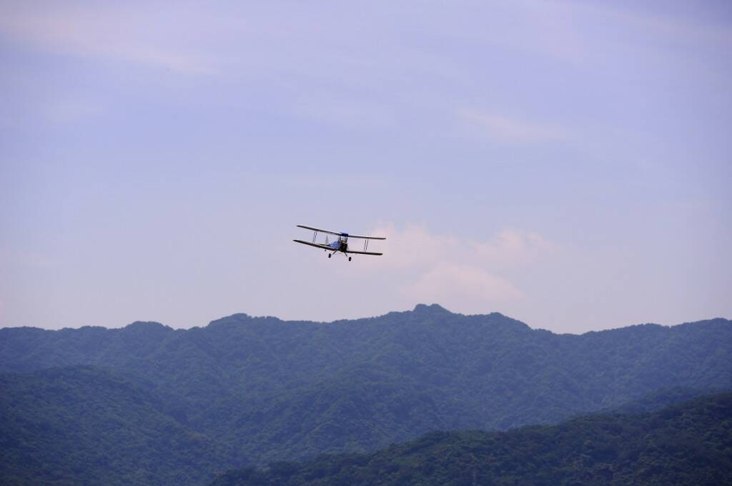 818_9665_01.JPG