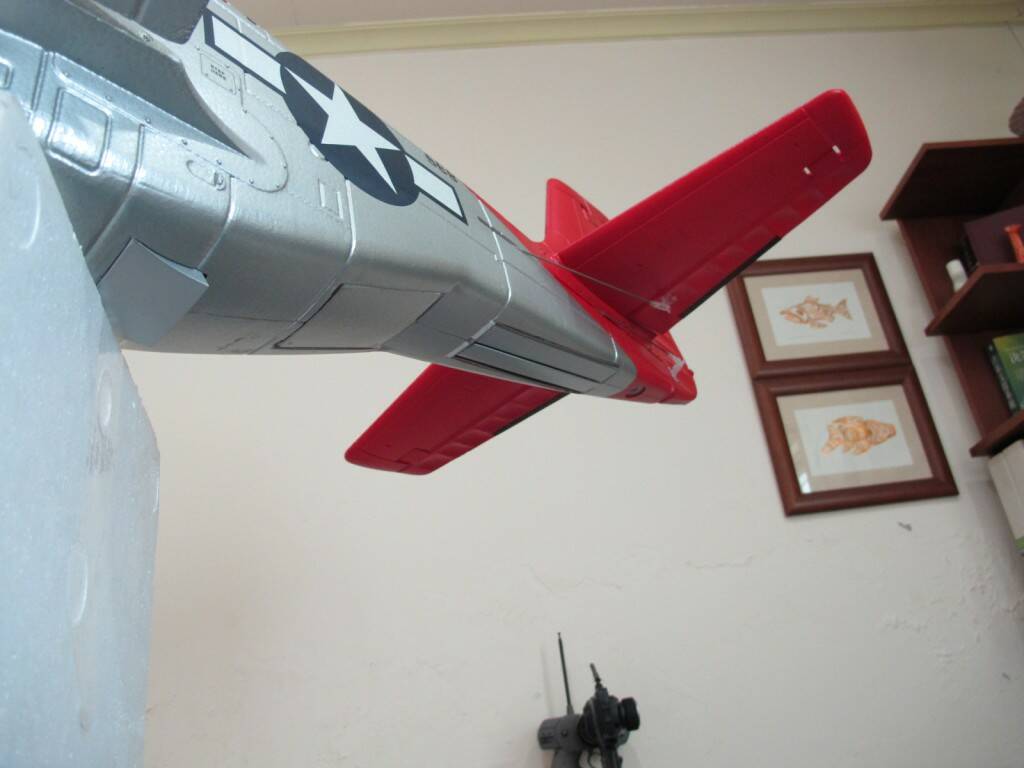 IMG_5521.JPG