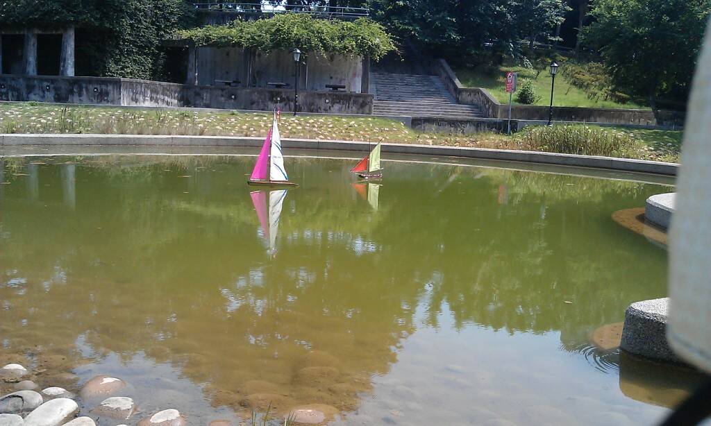 IMAG0103.jpg