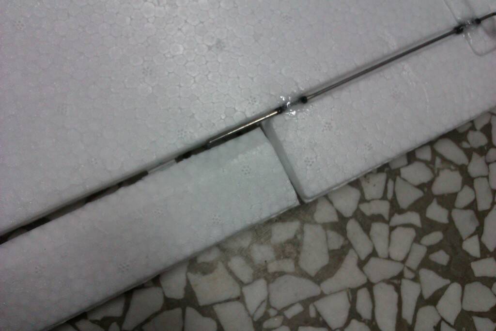 IMAG0361.jpg