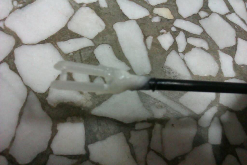 IMAG0363.jpg