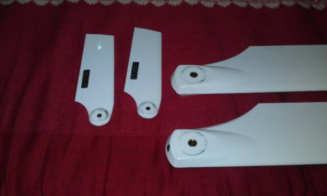 IMAG0659.jpg