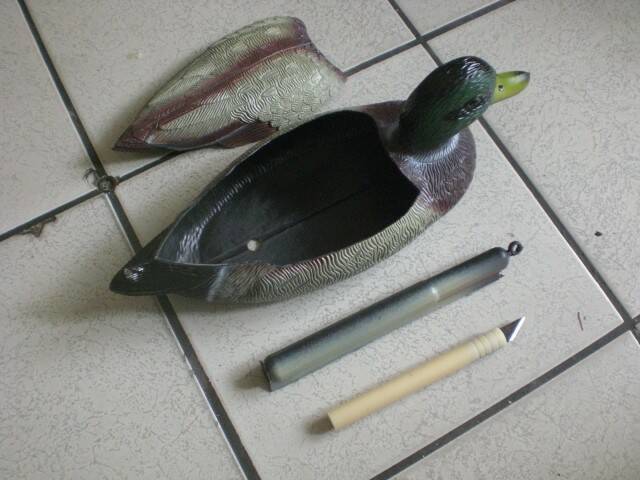 CIMG0352.JPG