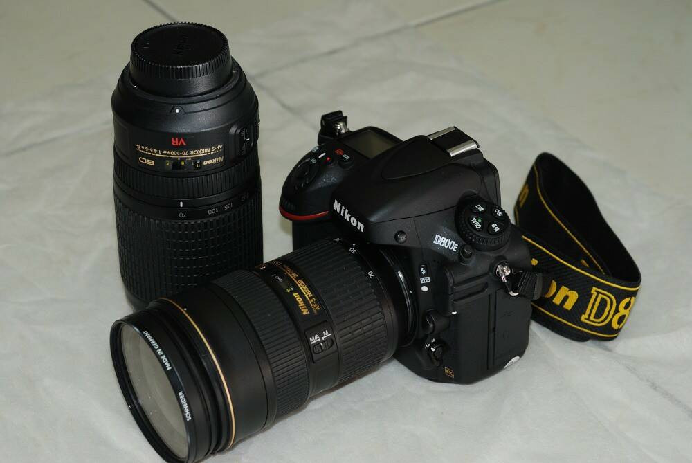 DSC_3583_s.JPG