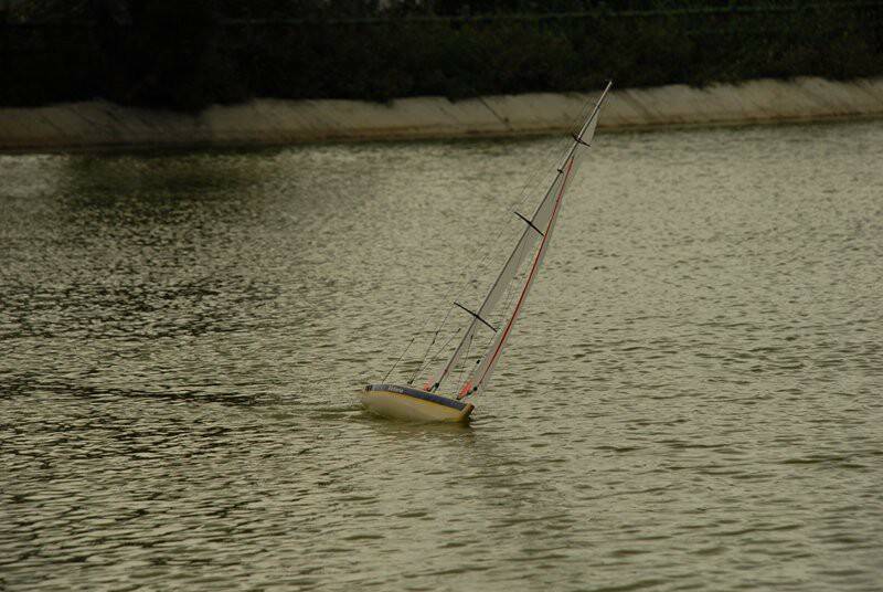 m_DSC_7611.JPG