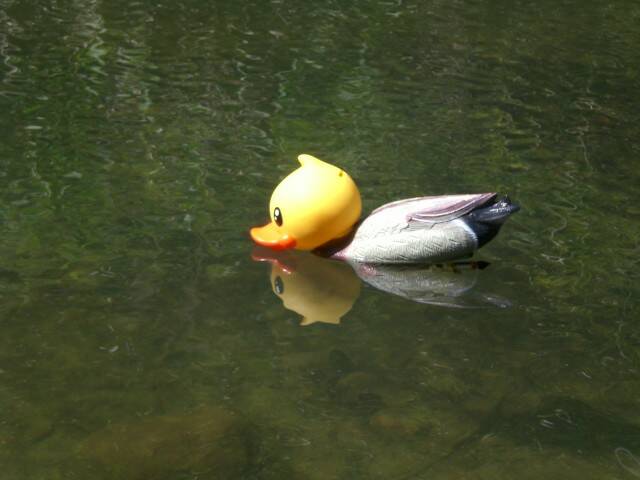 CIMG0439.JPG