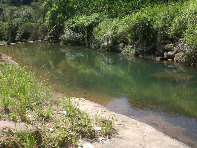 CIMG0452.JPG