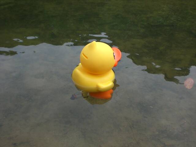 CIMG0468.JPG