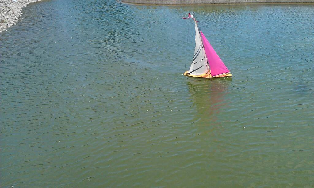 IMAG0138.jpg