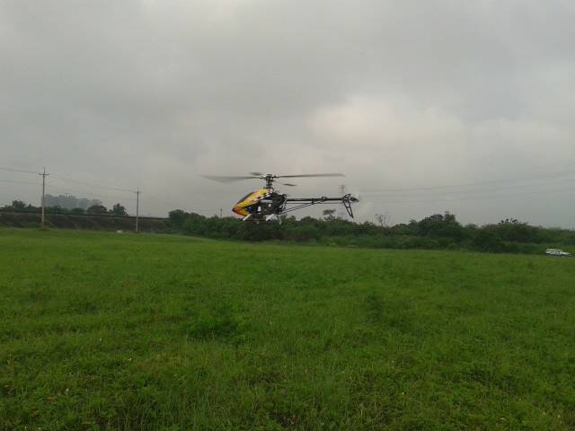 20130612_063946.jpg