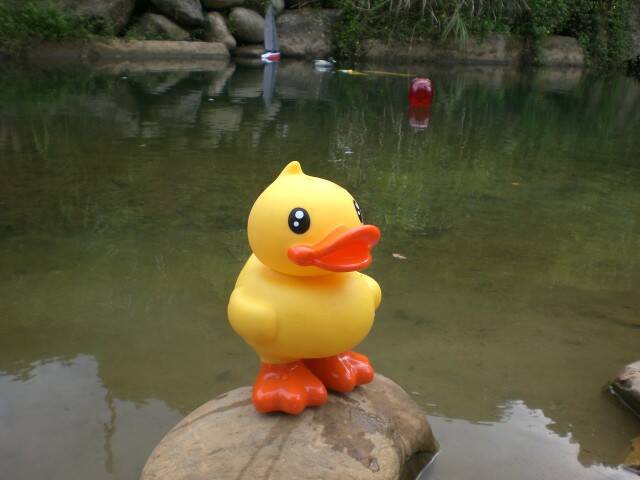 CIMG0560.JPG