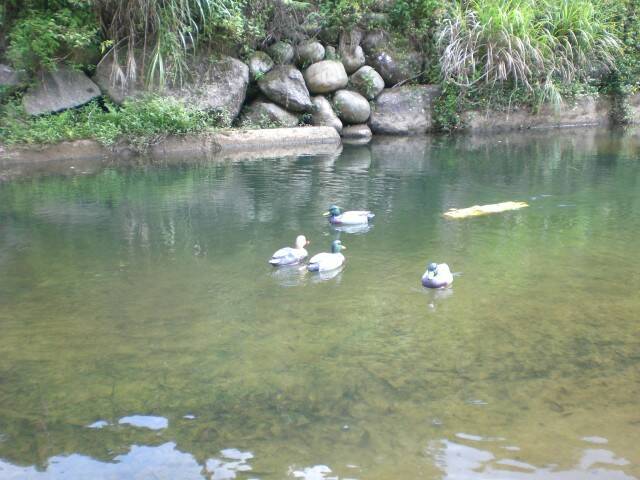 CIMG0577.JPG