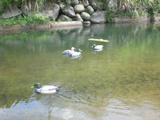 CIMG0580.JPG