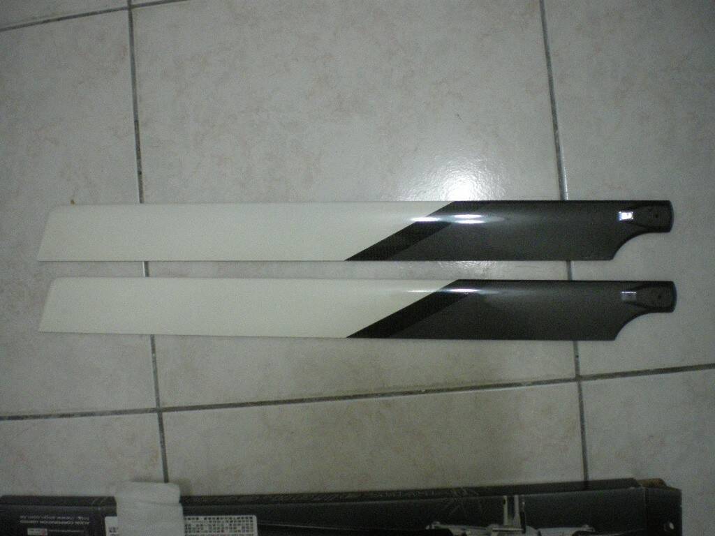IMGP4014.JPG