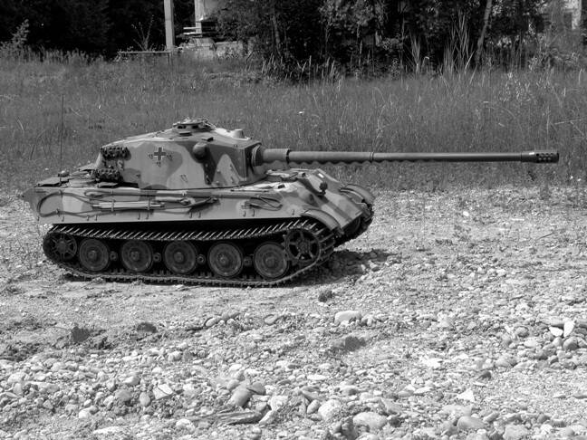 1-6 Tiger 2-680c.jpg