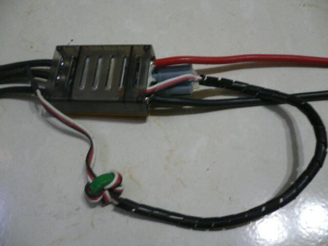 P1040108.JPG