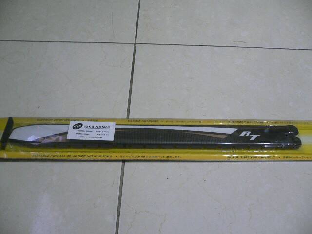 P1040104.JPG