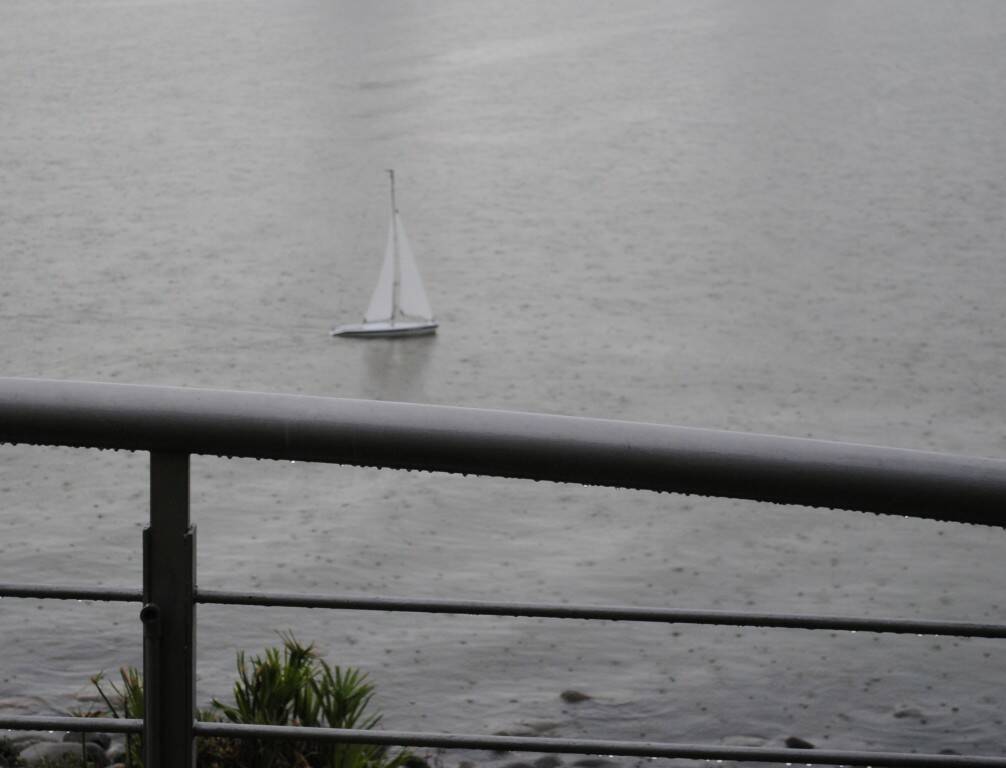 DSC_0141.jpg