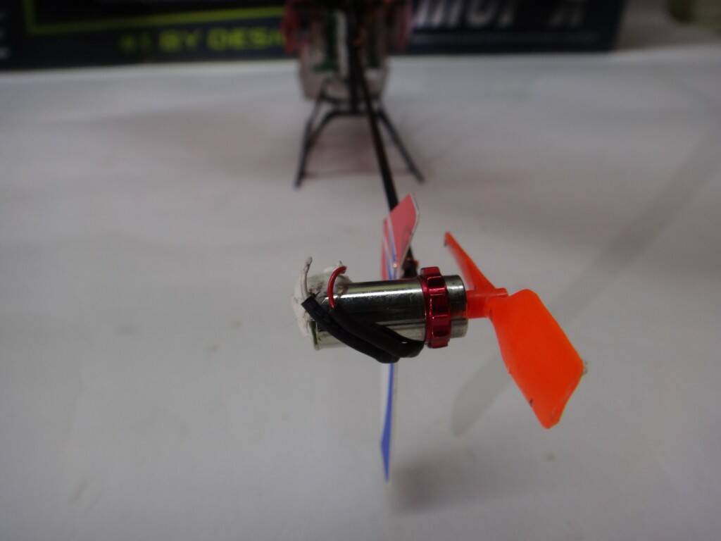 DSC04969.jpg