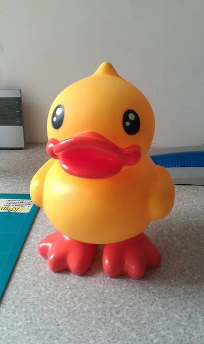 IMAG0752-1.jpg