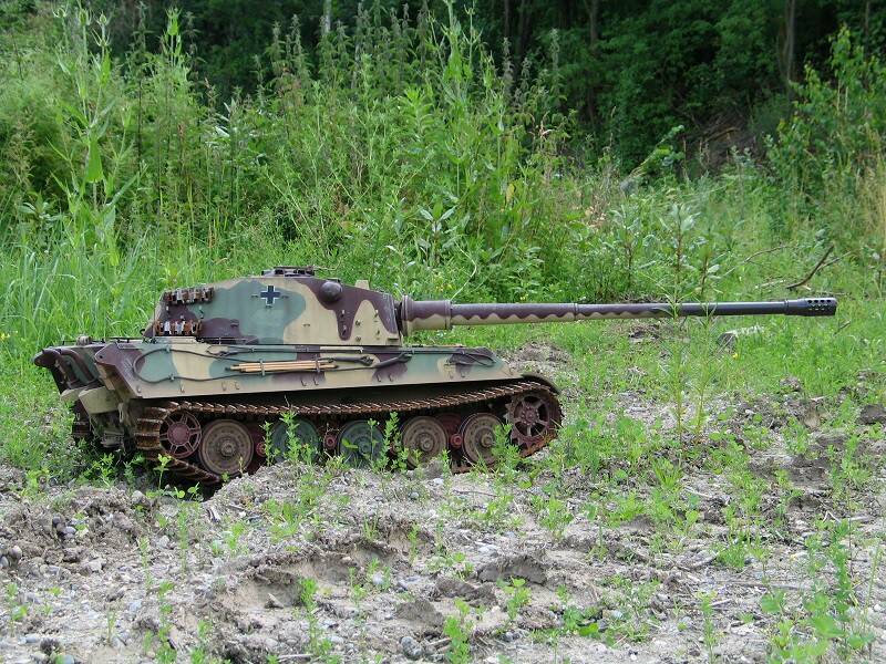 1-6 Tiger 2-695c.jpg