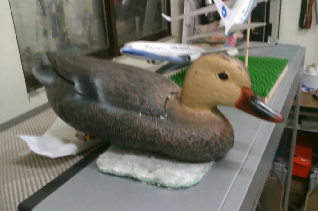 IMAG0016.jpg