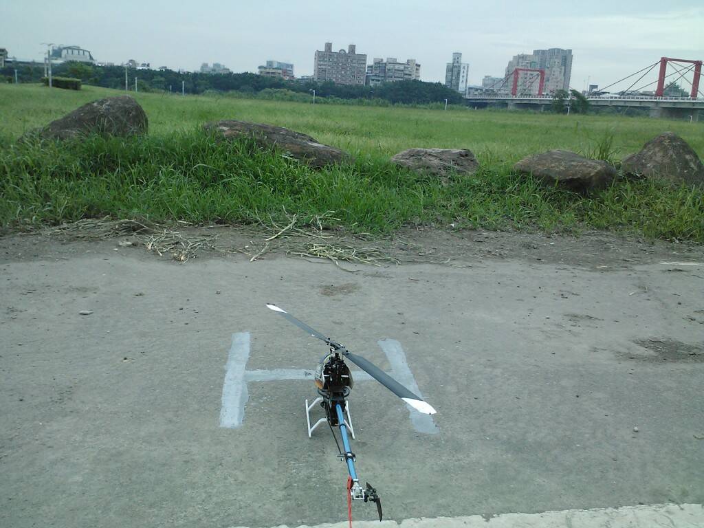 IMG1251.jpg