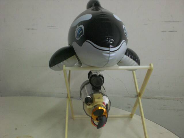 CIMG0767.JPG