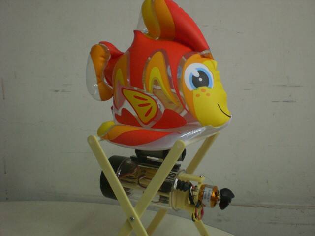 CIMG0769.JPG