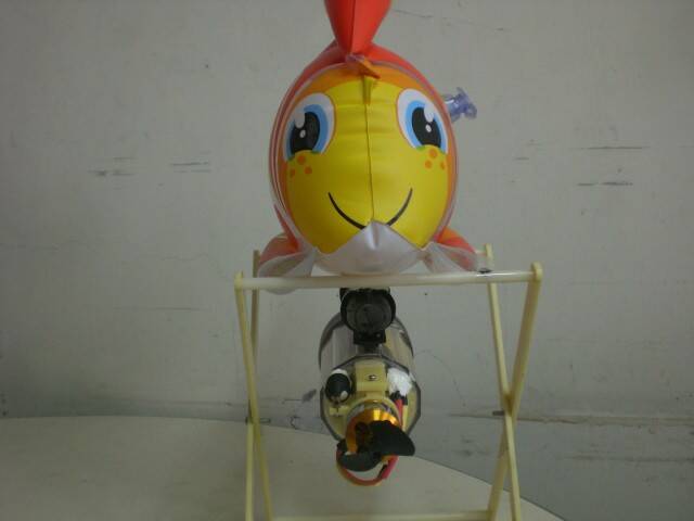 CIMG0770.JPG