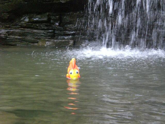 CIMG0781.JPG