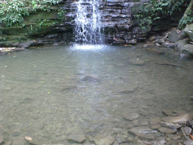 CIMG0775.JPG