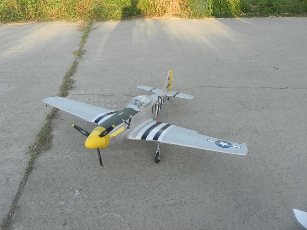 P51.jpg