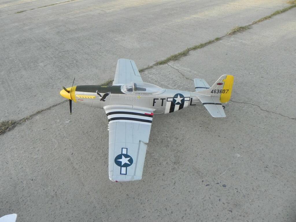 P512.jpg